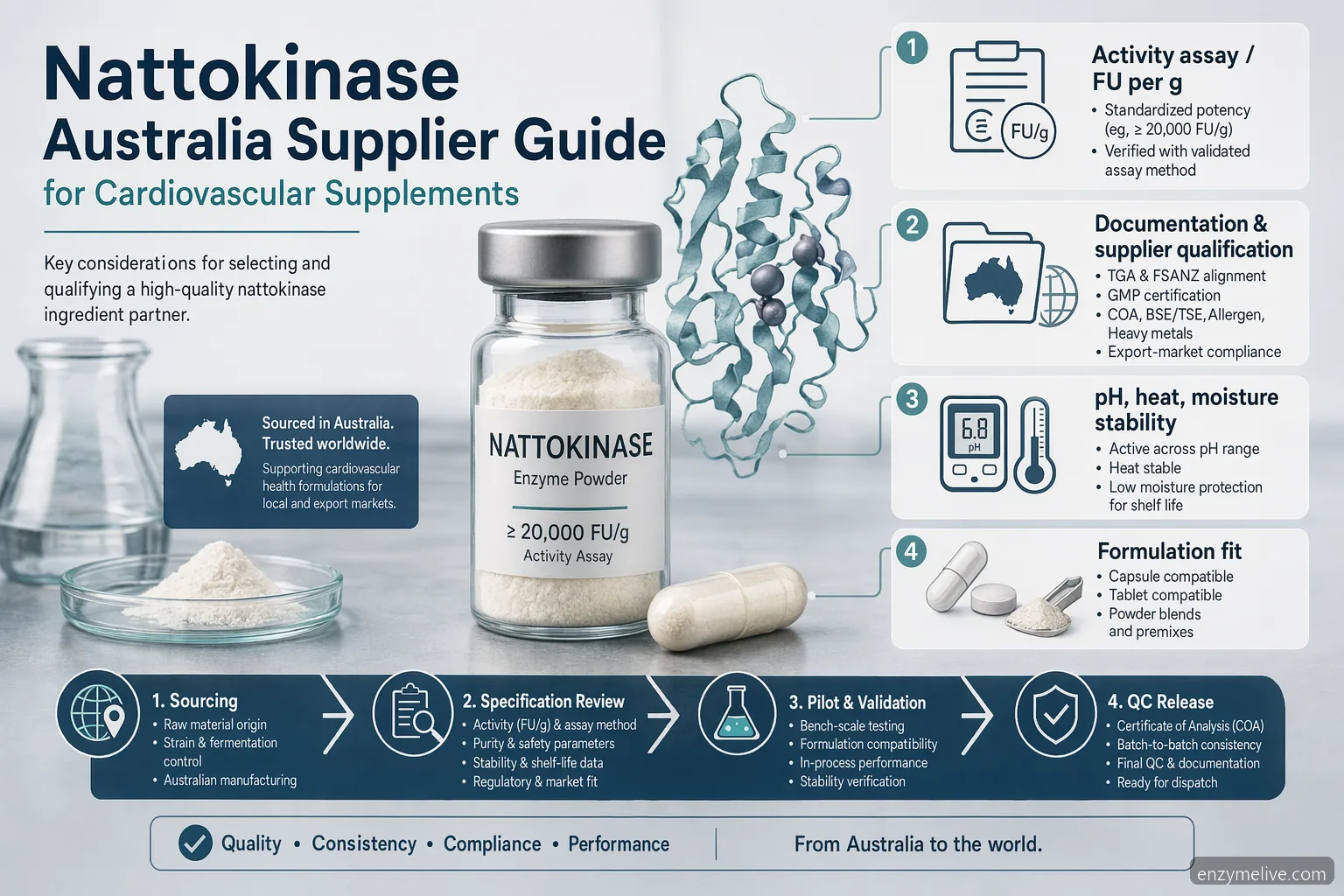 nattokinase australia supplier guide infographic showing enzyme specs, QC, stability, and supplement forms