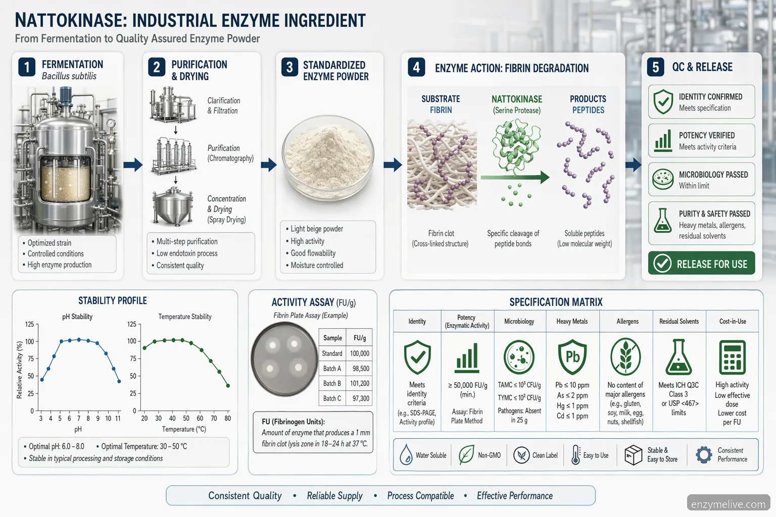 nattokinase kaufen process diagram showing enzyme activity testing, pH-temperature stability and QC release gates