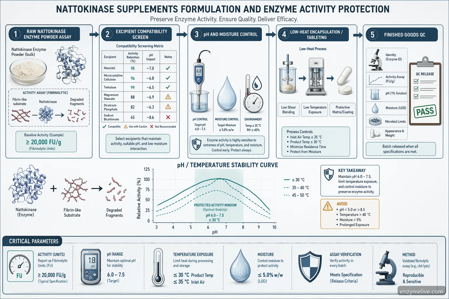 nattokinase supplements enzyme stability diagram showing pH, temperature, dosage, and QC flow